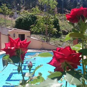 Nohal Apartamento