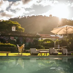 Yes Please! Antigua