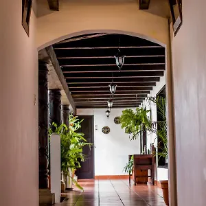 Real *** Antigua